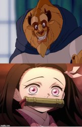 beast likes nezuko Meme Template