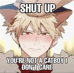Shut Up You're Not A Catboy I Don't Care Meme Template