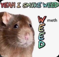 Yeah I smoke W(Meth)EED Meme Template