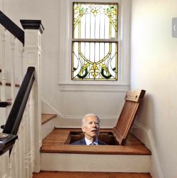 Biden basement Meme Template