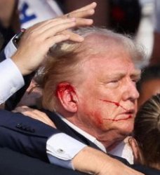 Trump bloody ear assassination Meme Template