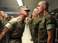 Drill sergeant army yelling Meme Template