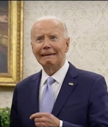 BIDEN GRIMACE Meme Template