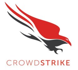 CrowdStrike Meme Template