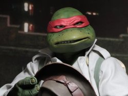 Raphael is not amused by your shenanigans Meme Template