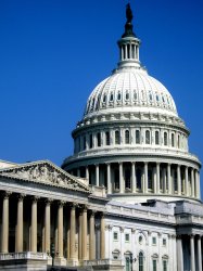 US Capitol Building Meme Template