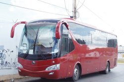 Los autobuses no votan Meme Template