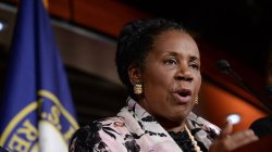 Sheila Jackson Lee Meme Template