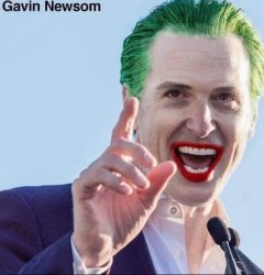 gavin newsom joker Meme Template