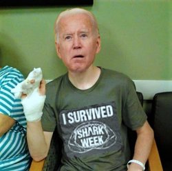 Biden survived shark week Meme Template