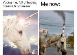 unicorn Meme Template