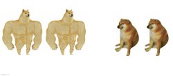 2 buff doges vs 2 cheems Meme Template