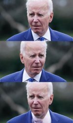 Confused Biden Meme Template