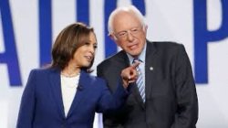 bernie and kamala Meme Template