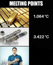 melting points - gold, tungsten, my heart Meme Template