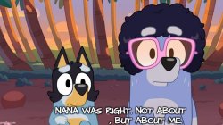 Bluey Nana was right Meme Template