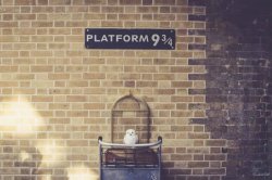 Platform 9 3/4 Meme Template