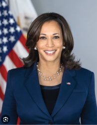 Kamala harris Meme Template