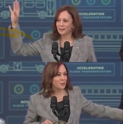 Kamala What Can Be Meme Template