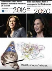 Kamala Black? Meme Template