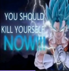 Vegito kys Meme Template