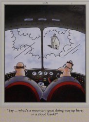 Far Side - What's that goat doing way up here Meme Template