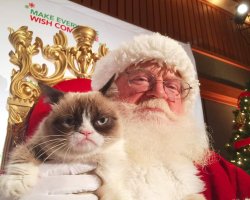 Grumpy cat and santa Meme Template