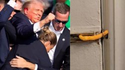 Secret Service director Cheetos Meme Template