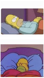 Homer Meme Template