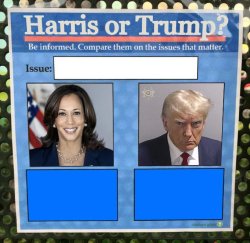 Harris or Trump on the issues 2024 Election Meme Template