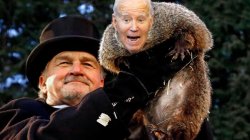 Biden Winter Groundhog Meme Template