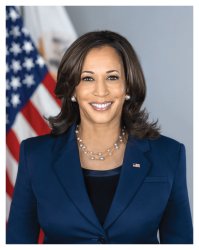 Kamala Harris Meme Template