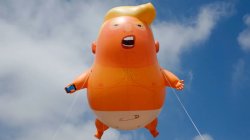 Donnie Diapers Meme Template