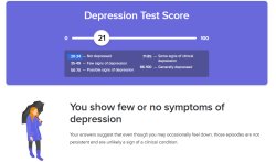 depression test results Meme Template