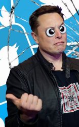 elon musk is stupid Meme Template