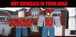 hot shingles in your area Meme Template