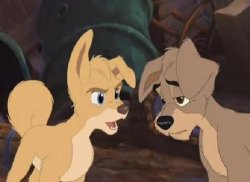 Lady And The Tramp 2 Angel Meme Template