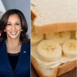 VP Sandwich Meme Template