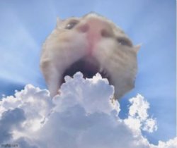 cat eating cloud Meme Template