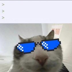 Mecat Meme Template