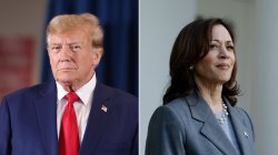 Trump & Harris Meme Template