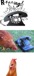 Phonecall For Chicken Meme Template