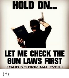 gun laws Meme Template