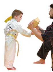 Karate Meme Template