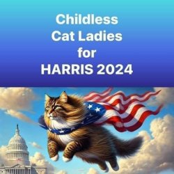 Childless Cat Ladies for Harris 2024 Meme Template