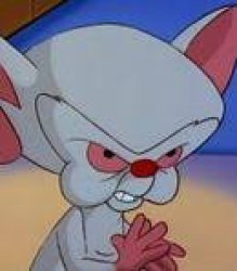 Brain (Animaniacs) Meme Template