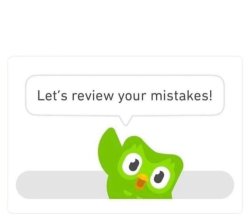 Duolingo Mistake Meme Template