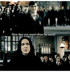 How Dare You Stand - Harry Potter Meme Template