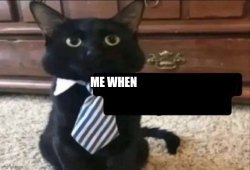 Me when cat Meme Template