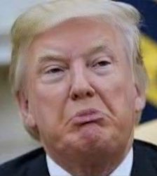 Pouting Trump Meme Template